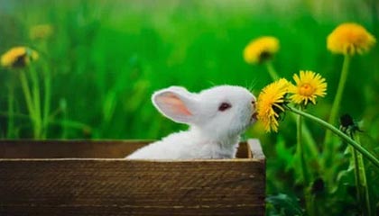 开云体育娱乐-比赛中的心理调节术：抗压能力提升指南，比赛心理调节方法