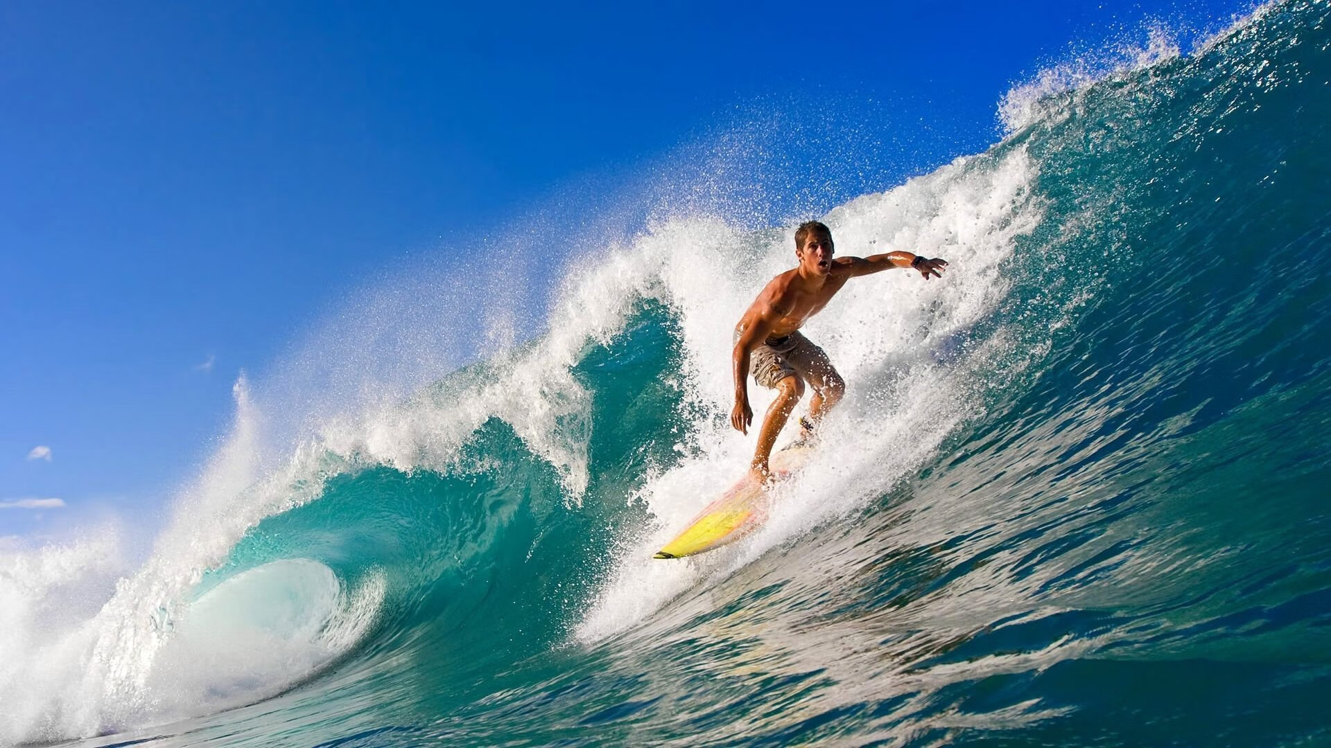 德国羽毛球选手在比赛中展现出顽强拼搏精神，德国羽毛球主教练